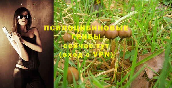 ECSTASY Гусиноозёрск