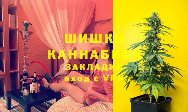 скорость Гусев
