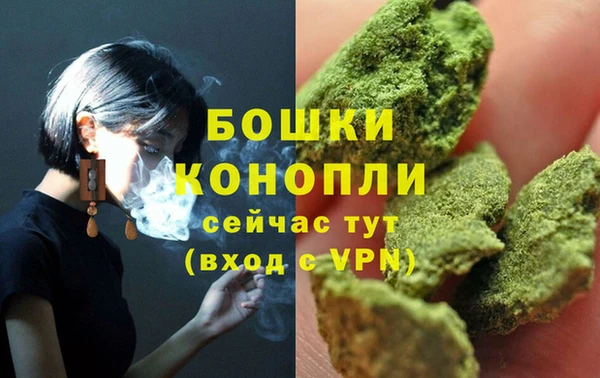скорость Гусев