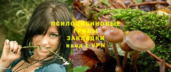 скорость Гусев