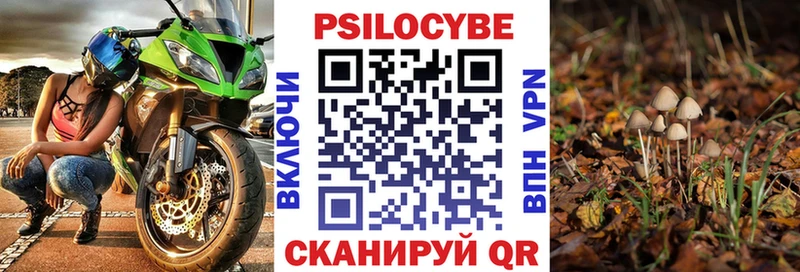 Псилоцибиновые грибы MAGIC MUSHROOMS  Шумиха 